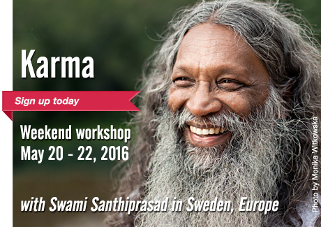 ad_karma_workshop_may-2016_sweden_460x325px